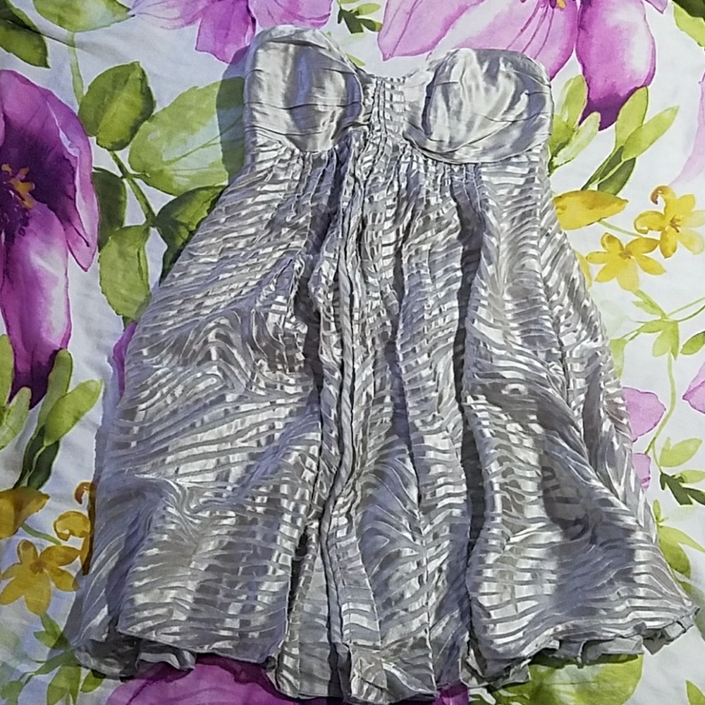 Express silver zebra stripe dress size 0